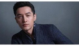 胡歌抑郁爆料视频在线观看,揭秘明星背后的心理困境